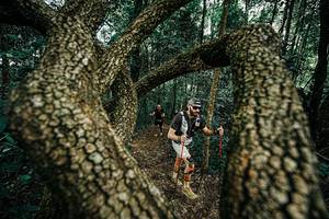 BIB: 
                            <button type="button" onclick="openModal(25394003)" class="btn btn-primary btn-sm float-right btn-popup" data-toggle="modal" data-target=".modal-high-quality">
                        <i class="fas fa-shopping-cart"></i> Add to Cart
                    </button>
                                            <button type="button" onclick="isThisMe(25394003, true)" class="btn btn-success btn-sm float-right btn-popup btn-isme hidden" data-toggle="tooltip" data-placement="bottom" title="นี่คือรูปของคุณใช่ไหม คลิกที่นี่เพื่อเอาเข้าอัลบั้ม">
                        <i class="fas fa-plus"></i> Add to album
                    </button>
                    <button type="button" onclick="isThisMe(25394003, false)" class="btn btn-warning btn-sm float-right btn-popup btn-isnotme hidden">
                        <i class="fas fa-ban"></i> Remove from album
                    </button>